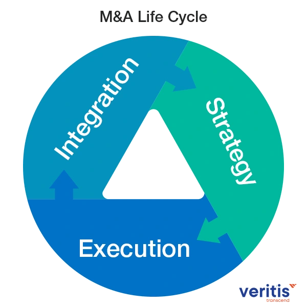 The Mergers and Acquisitions Life Cycle