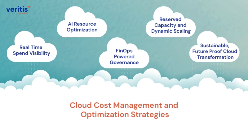 Cloud Cost Management and Optimization Strategies