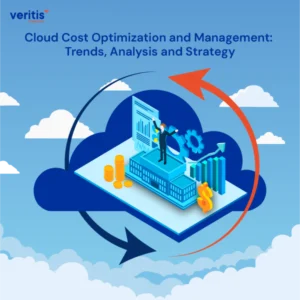 Cloud Cost Optimization and Management: Trends, Analysis and Strategy! - Thumbnail