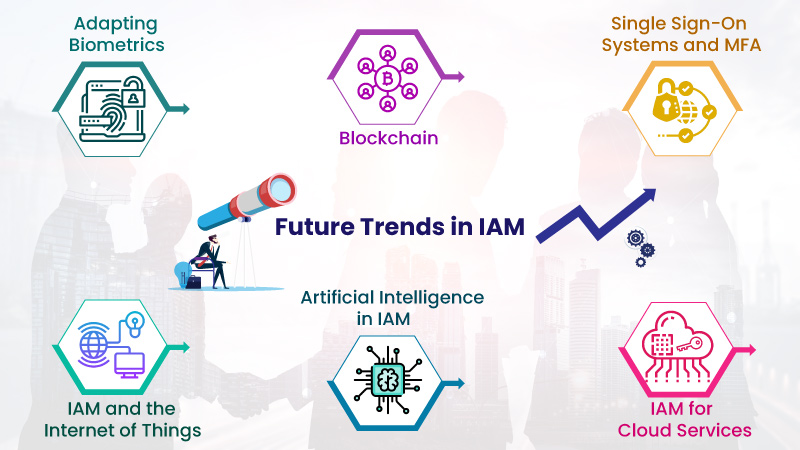 Future Trends in IAM