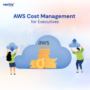AWS Cost Management for Executives: Maximize ROI and Drive Cloud Financial Excellence - Thumbnail