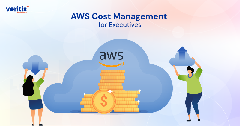 AWS Cost Management for Executives: Maximize ROI and Drive Cloud Financial Excellence