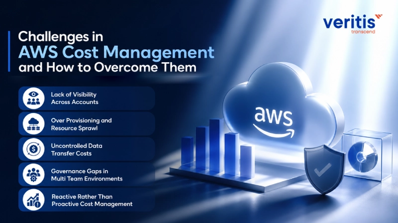 Challenges in AWS Cost Management and How to Overcome Them