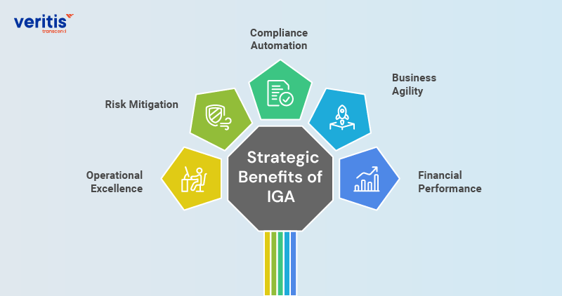 Strategic IGA Benefits for Risk Management in Enterprises