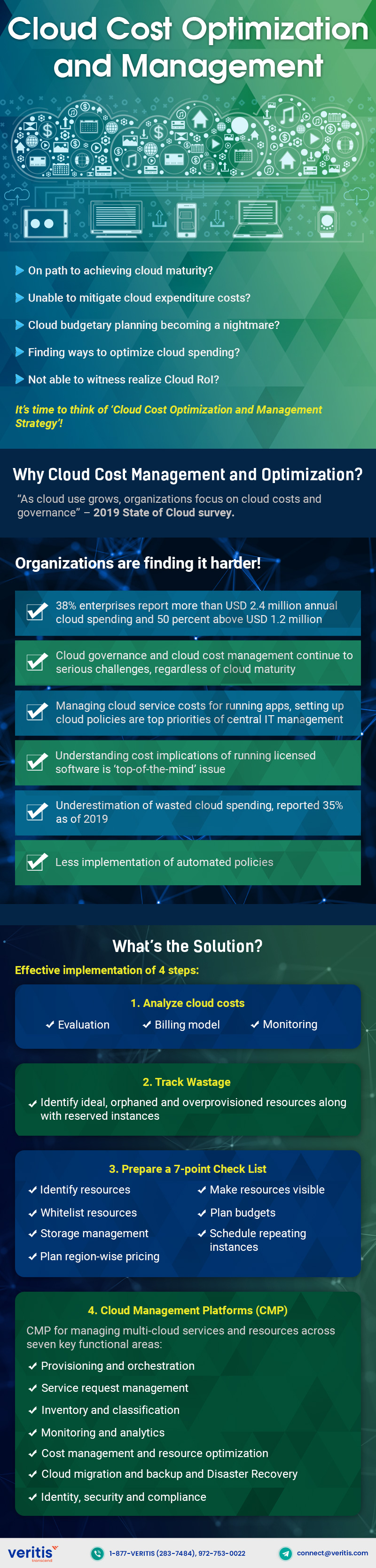 Cloud Cost Optimization and Management IT Infographic